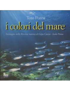 I colori del mare